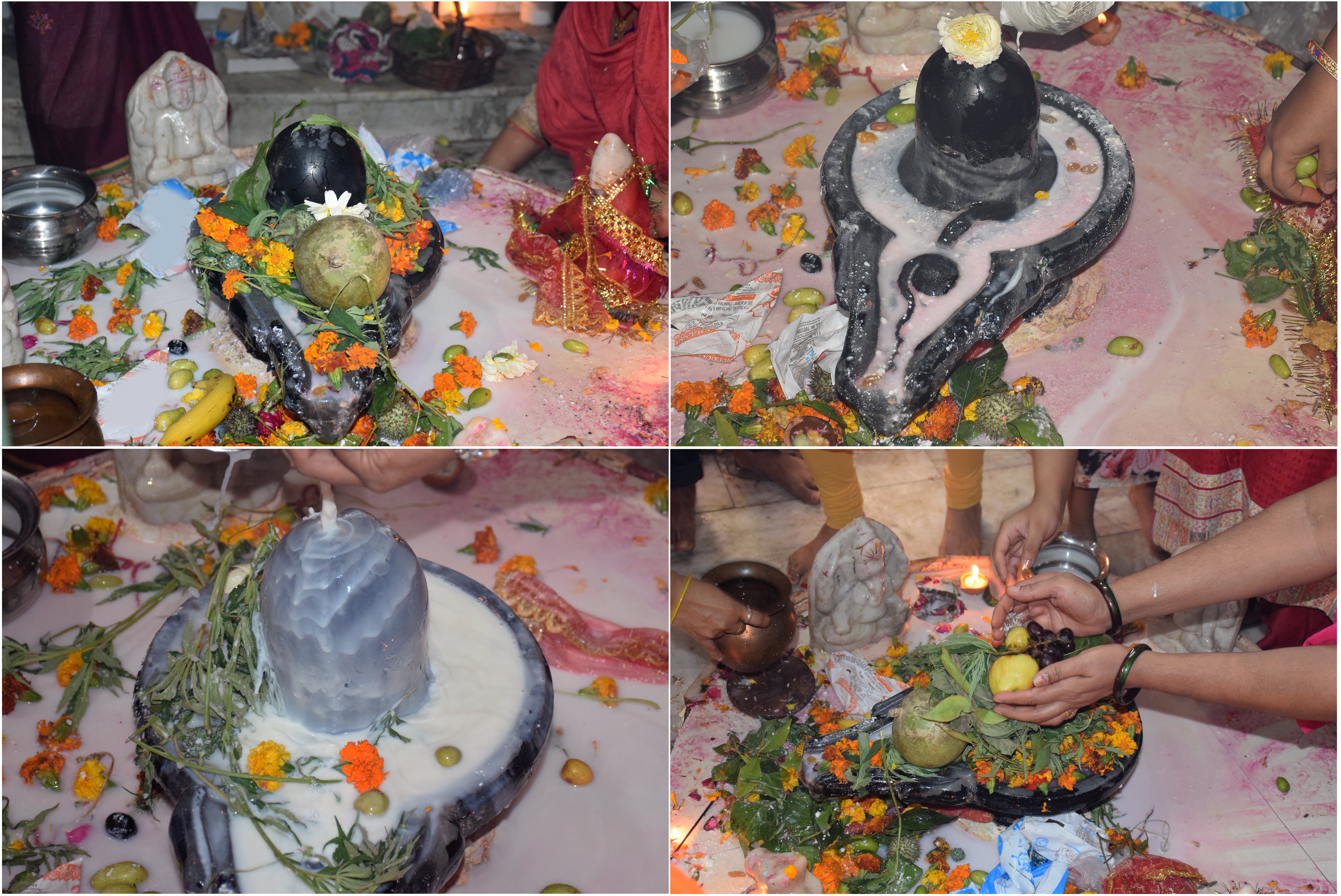 Maha Shivratri 2020: offer these 10 things to Shivling to please Lord Shiva  | NewsTrack English 1