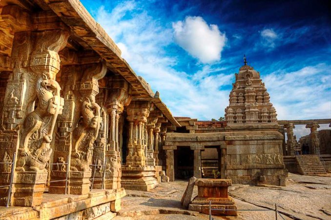 grasshopper yatra Image