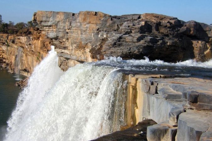 grasshopper yatra Image