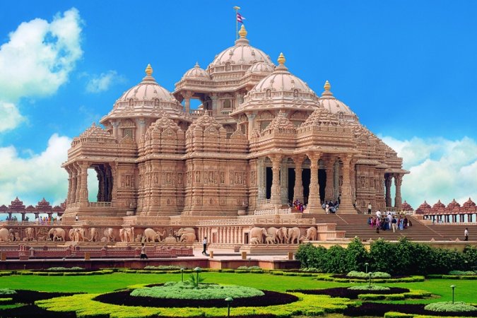 grasshopper yatra Image