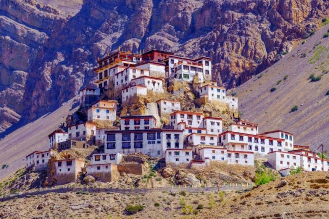 grasshopper yatra Image