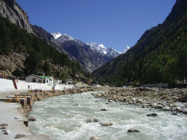 grasshopper yatra Image