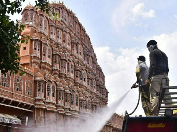 grasshopper yatra Image