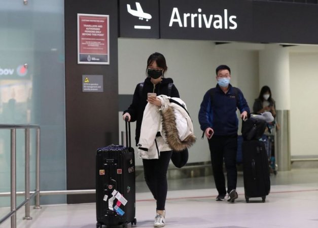 grasshopper yatra Image