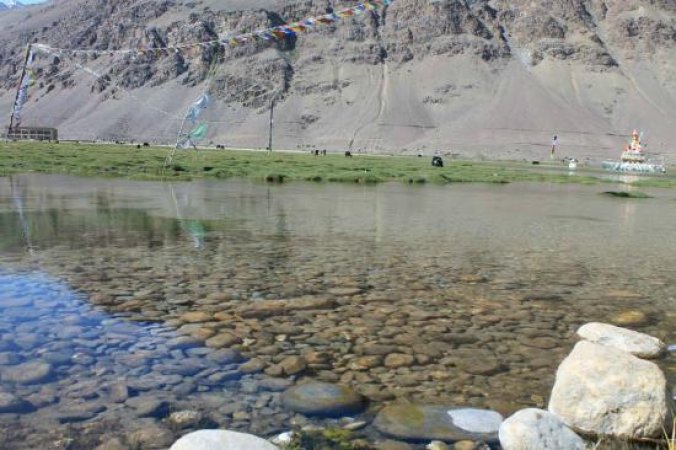 grasshopper yatra Image