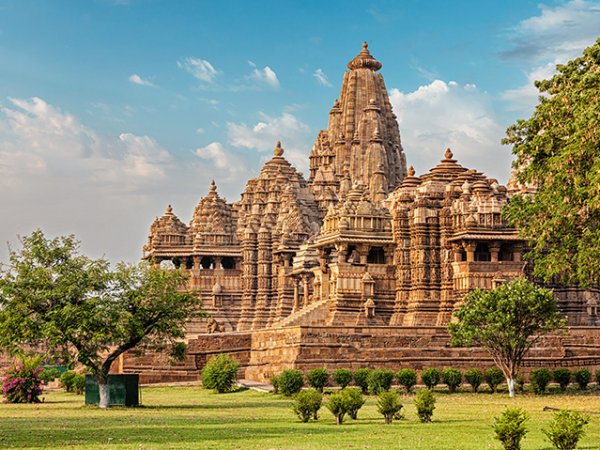 grasshopper yatra Image