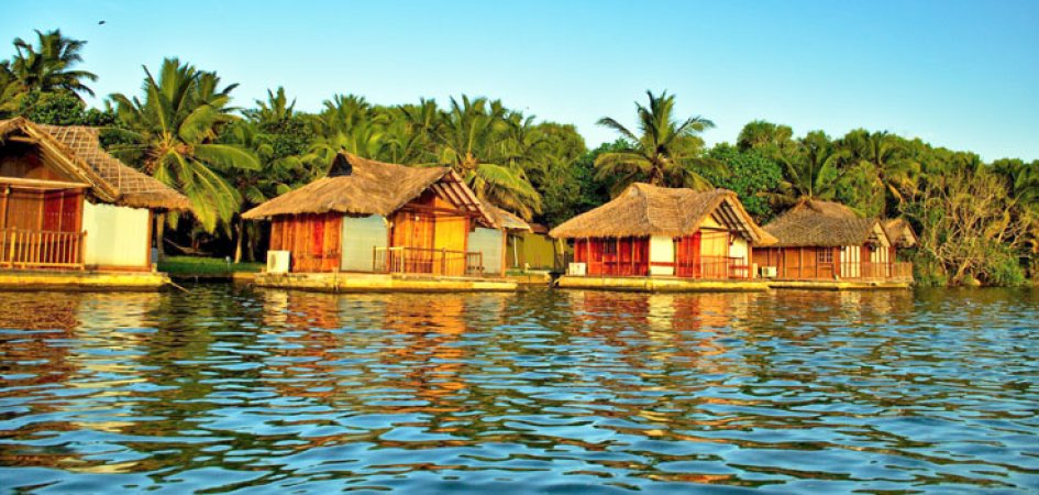 grasshopper yatra Image
