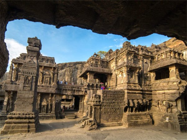 grasshopper yatra Image