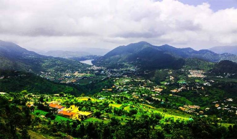 grasshopper yatra Image
