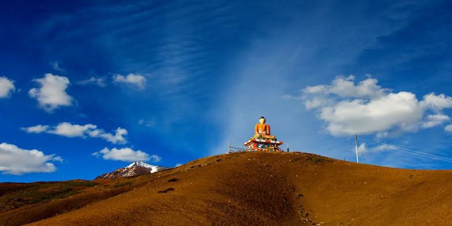 grasshopper yatra Image