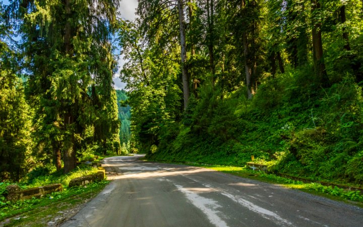 grasshopper yatra Image