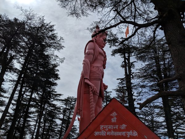 grasshopper yatra Image