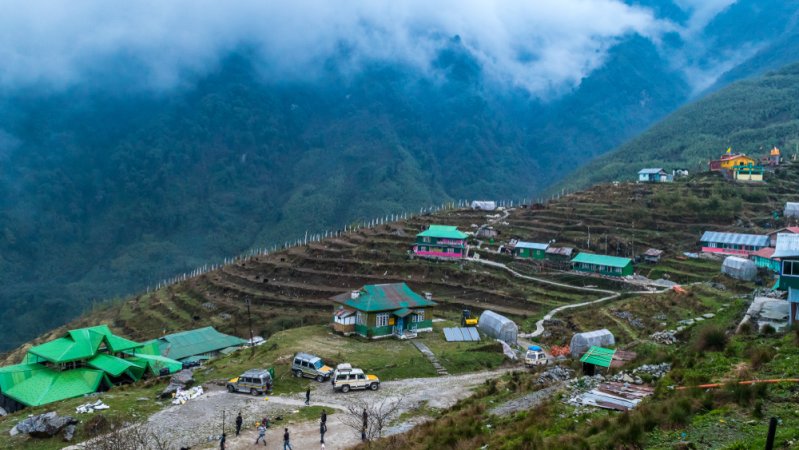 grasshopper yatra Image