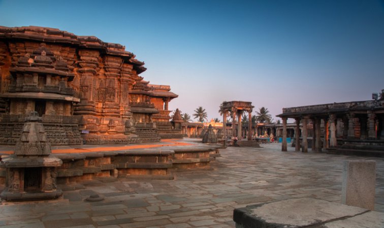grasshopper yatra Image