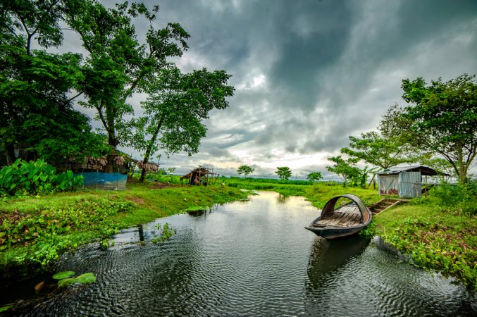 grasshopper yatra Image