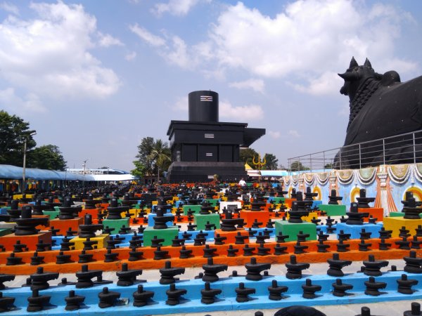 grasshopper yatra Image