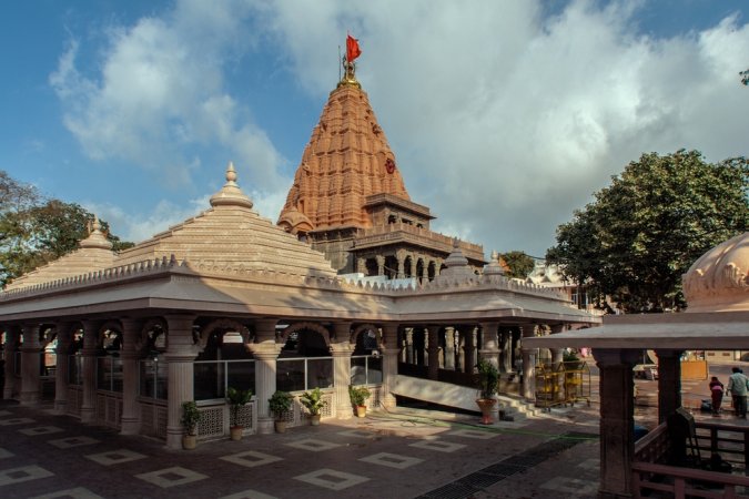 grasshopper yatra Image