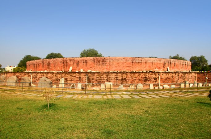 grasshopper yatra Image