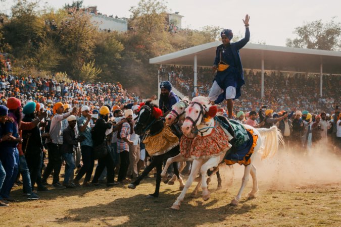 grasshopper yatra Image