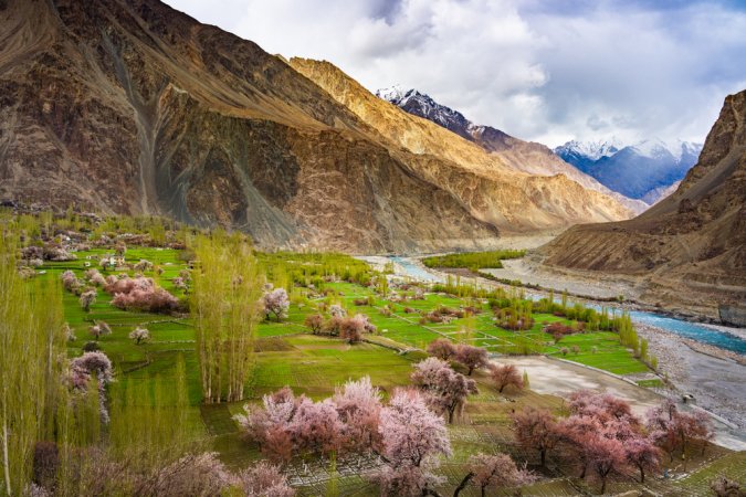 grasshopper yatra Image