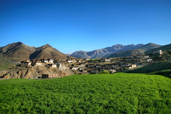 grasshopper yatra Image