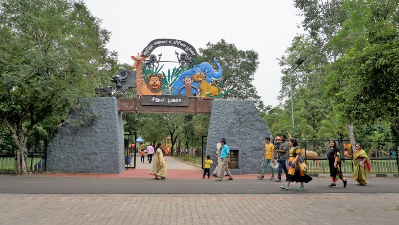 grasshopper yatra Image
