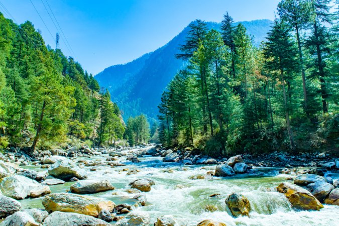 grasshopper yatra Image