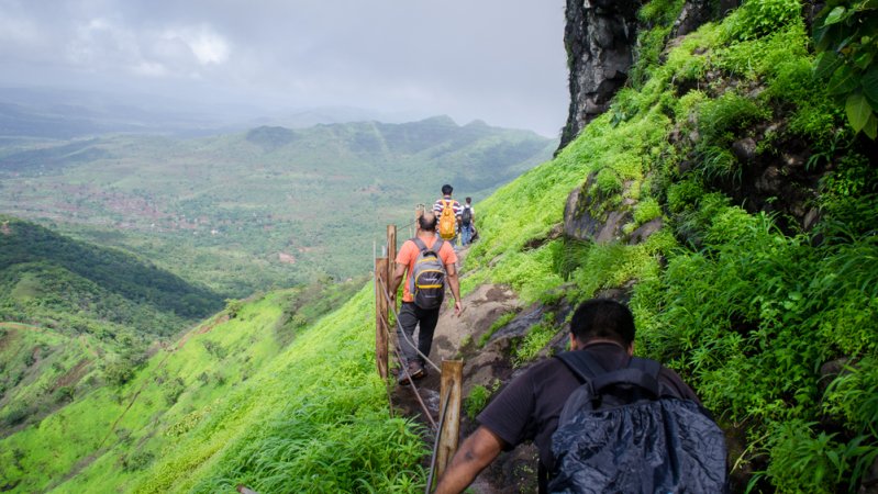 grasshopper yatra Image