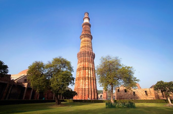 grasshopper yatra Image