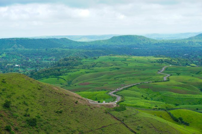 grasshopper yatra Image