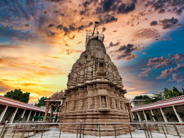 grasshopper yatra Image
