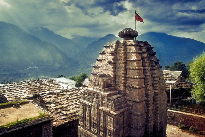 grasshopper yatra Image
