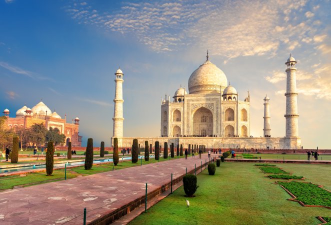 grasshopper yatra Image