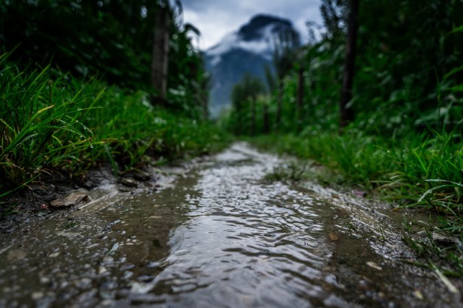 grasshopper yatra Image