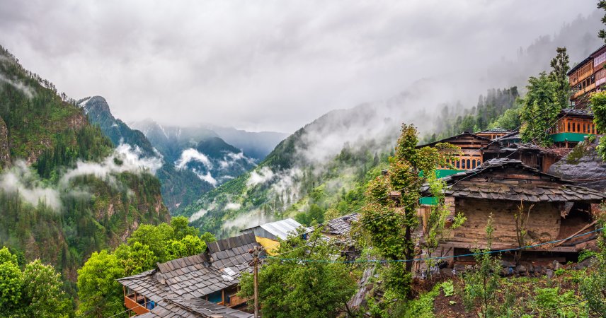 grasshopper yatra Image