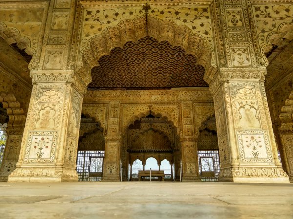 grasshopper yatra Image