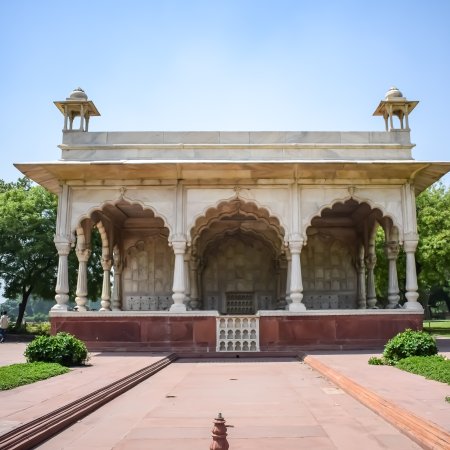 grasshopper yatra Image