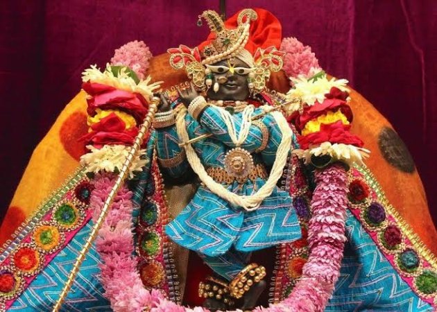 grasshopper yatra Image