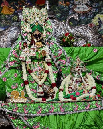 grasshopper yatra Image