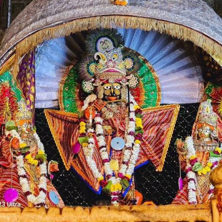 grasshopper yatra Image