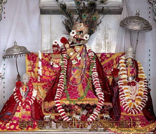 grasshopper yatra Image