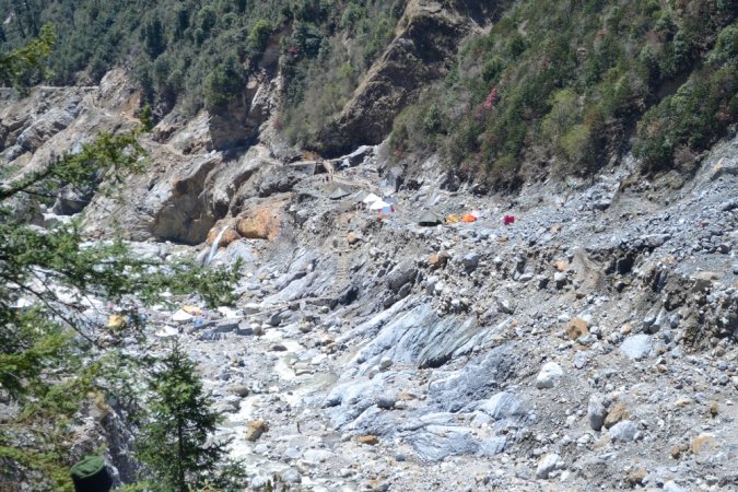 grasshopper yatra Image