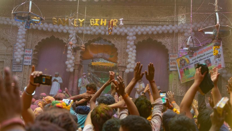 grasshopper yatra Image