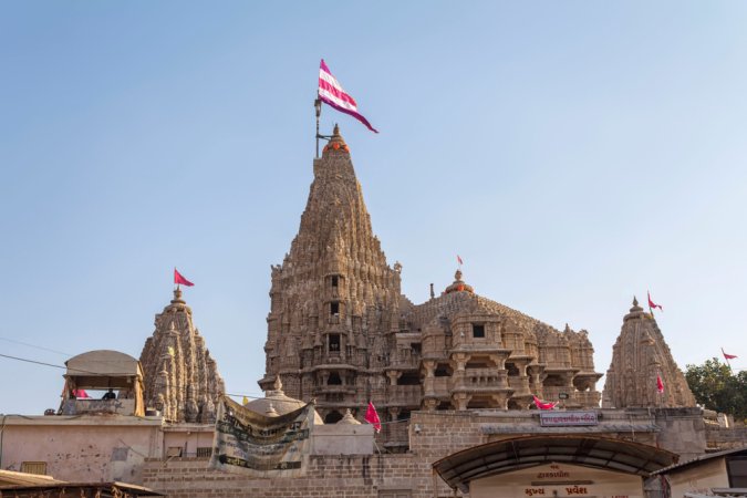 grasshopper yatra Image