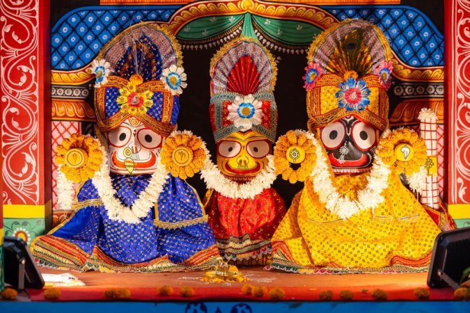 grasshopper yatra Image