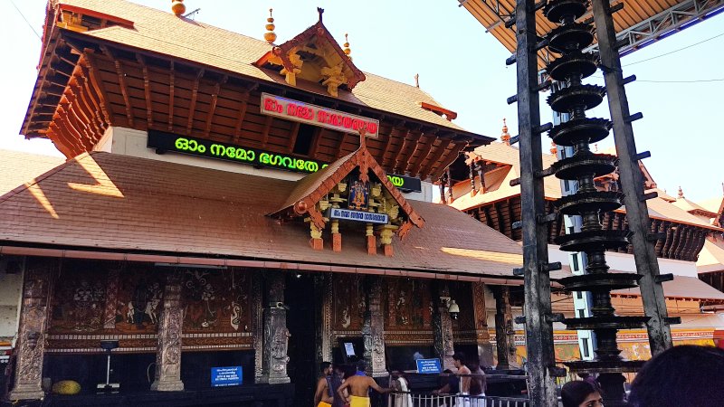 grasshopper yatra Image