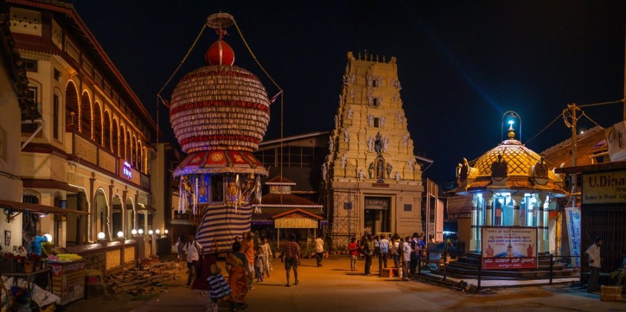 grasshopper yatra Image