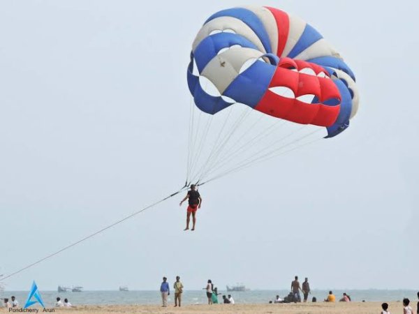 grasshopper yatra Image