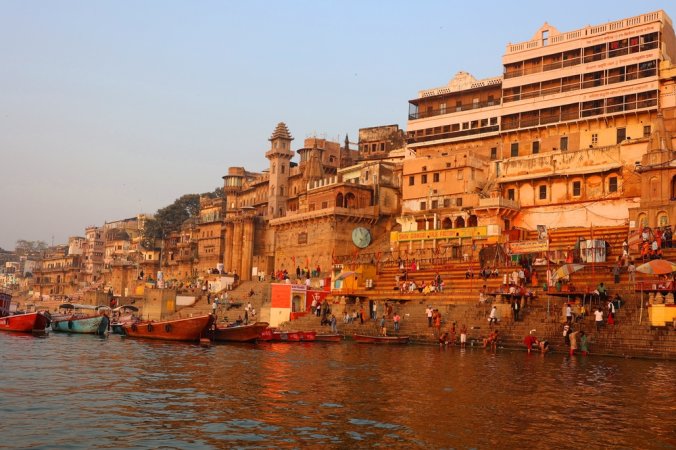 grasshopper yatra Image