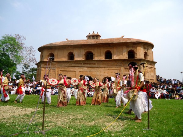 grasshopper yatra Image